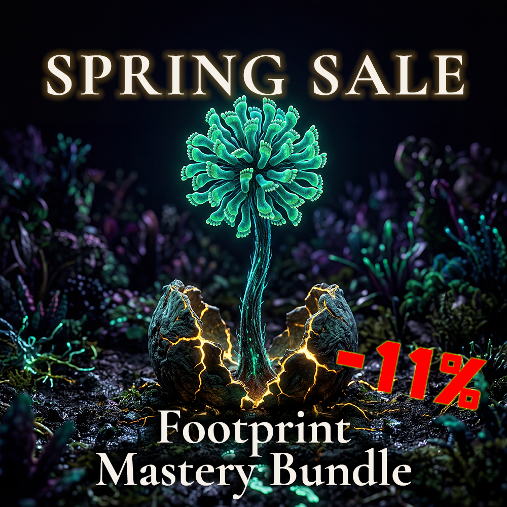 Footprint Mastery Bundle displaying three order flow ATAS indicators semaPHorek NODEtective R.A.I.N. with Ultra webhook functionality for complete bid-ask analysis